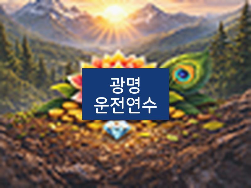 광명운전연수 후기