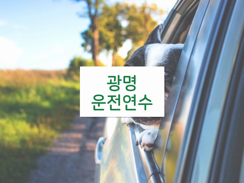 광명운전연수 후기