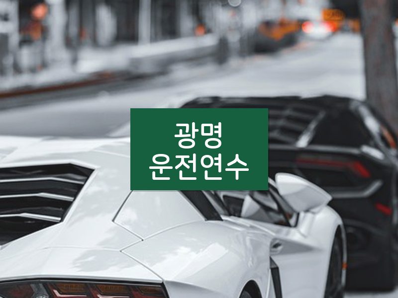 광명운전연수 후기