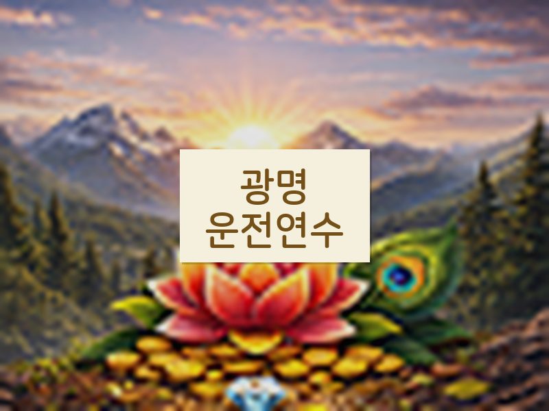 광명운전연수 후기