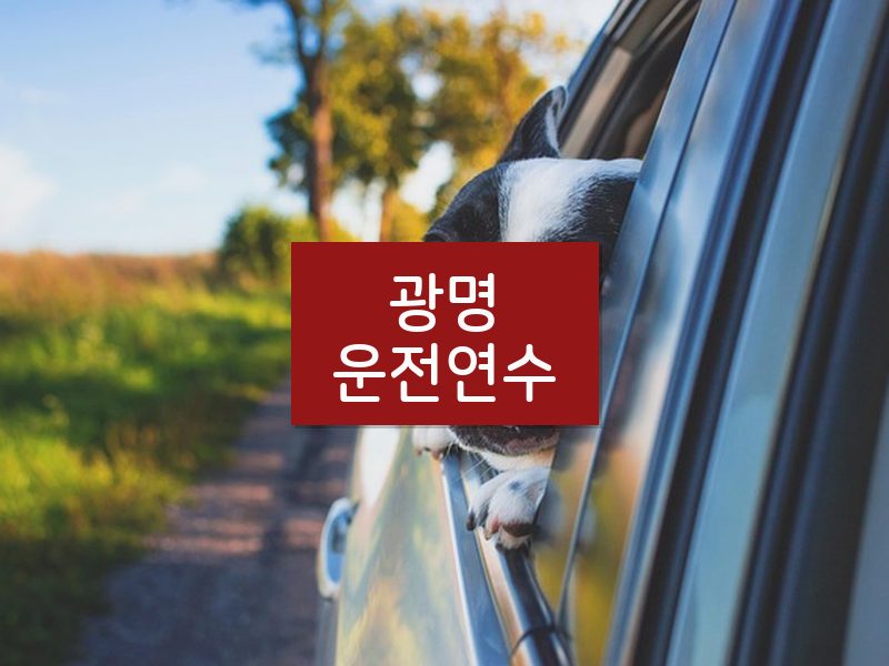 광명운전연수 후기