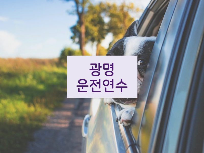 광명운전연수 후기