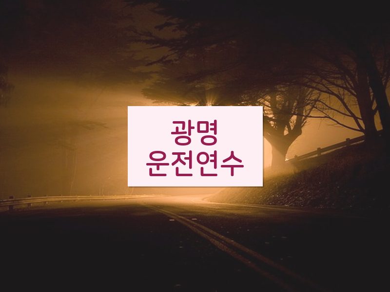 광명운전연수 후기