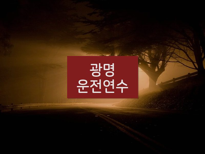 광명운전연수 후기