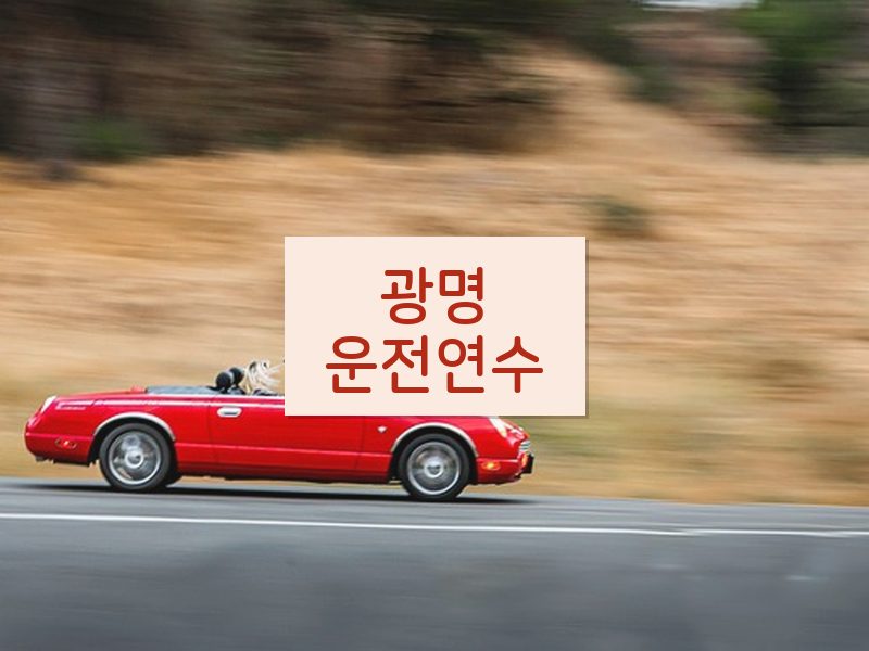 광명운전연수 후기