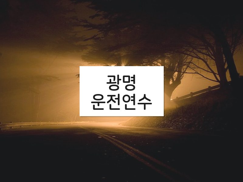 광명운전연수 후기