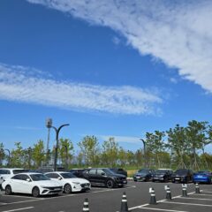 광명 고속도로 첫 운전