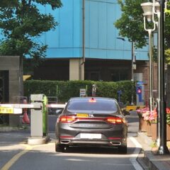 가성비 최고 코스