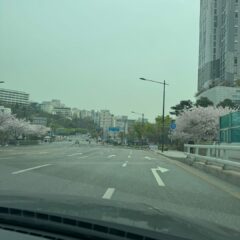 광명운전연수 어디서 받나요? 여기요!