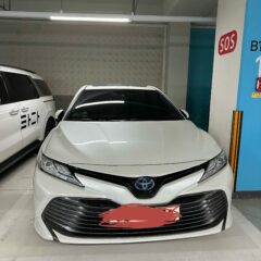 혼자 다니는 게 진짜 편해요