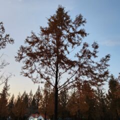 안전이 최우선인 강사님