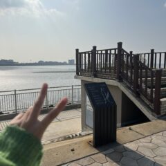 차량 조작 훈련 마무리 후기 이미지