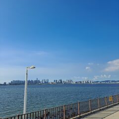 시간 맞춰서 가능해요