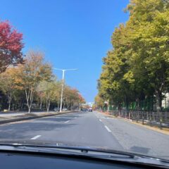 서대문운전연수 잘하는 업체 후기