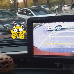 가족 산책 즐겁게!